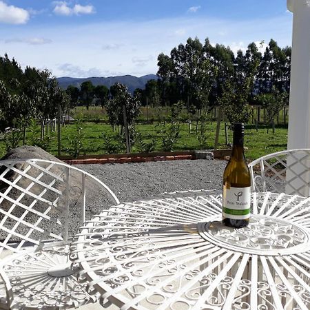 Woodside Orchard Greytown Exterior foto